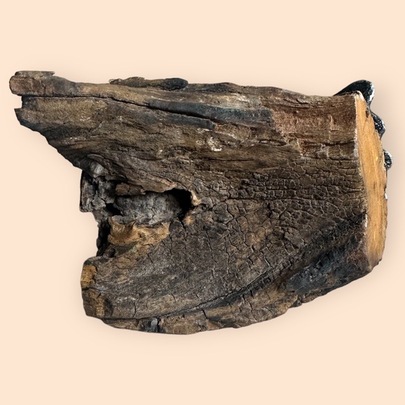 Vintage Driftwood Resin Hawk Bronze Black Brown With Red Eyes Decor Accent - Picture 11 of 13